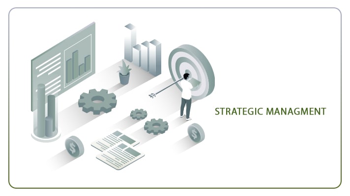 نرم افزار مدیریت استراتژیک